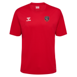 maillot_trainning_drap